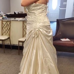Floor model wedding dress size 24 Champaign in color
